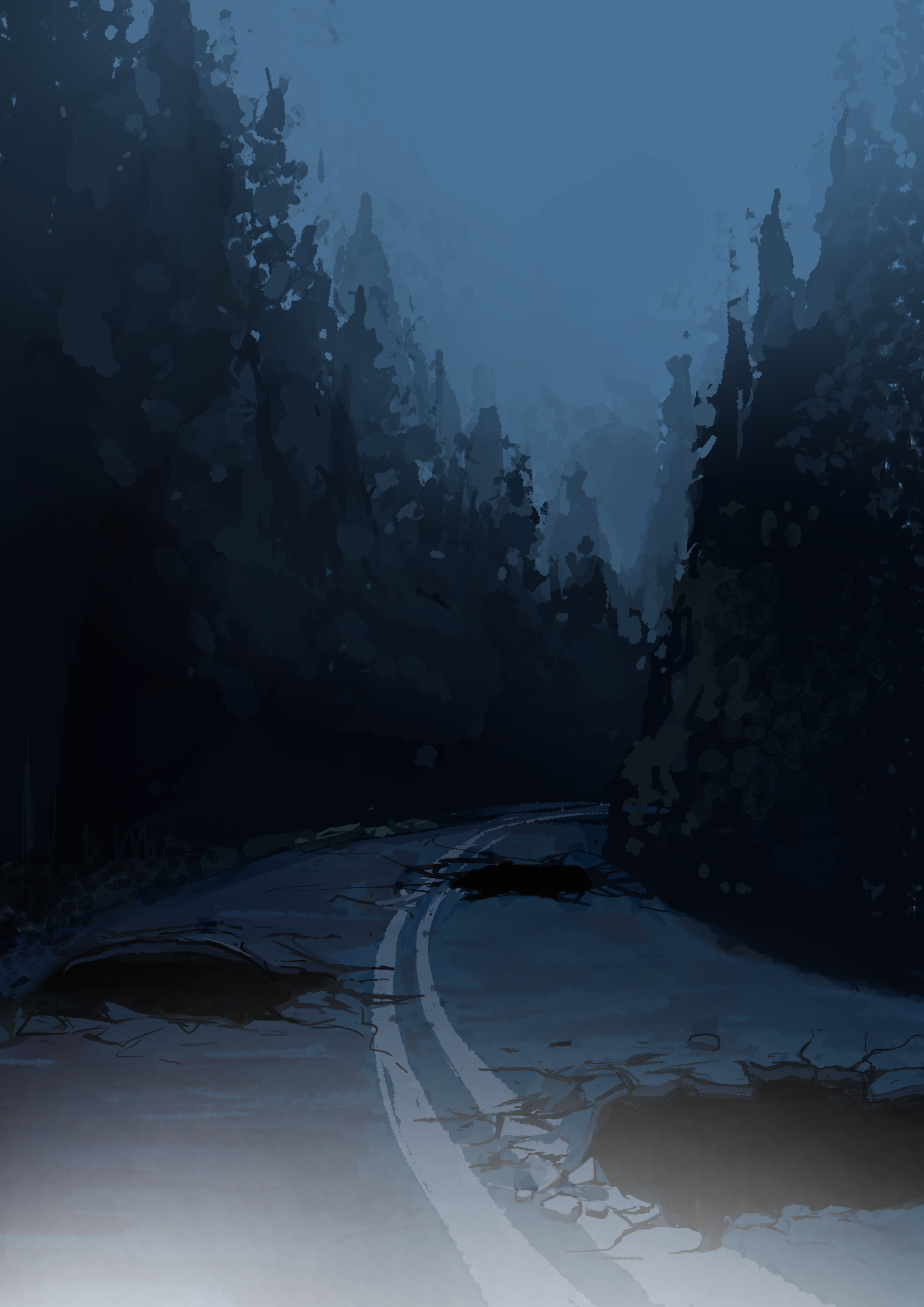 The road ahead, full of impossible potholes. Well have to find a away around.